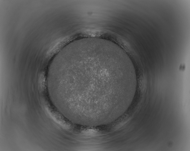 X0000116830594200912241228