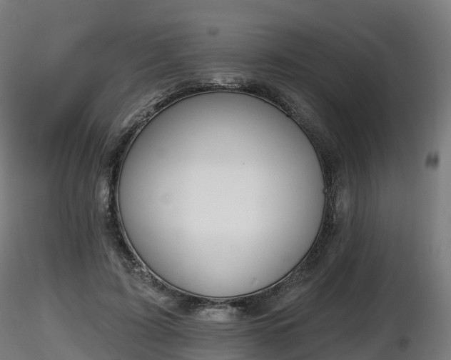 X0000116830595200912241228