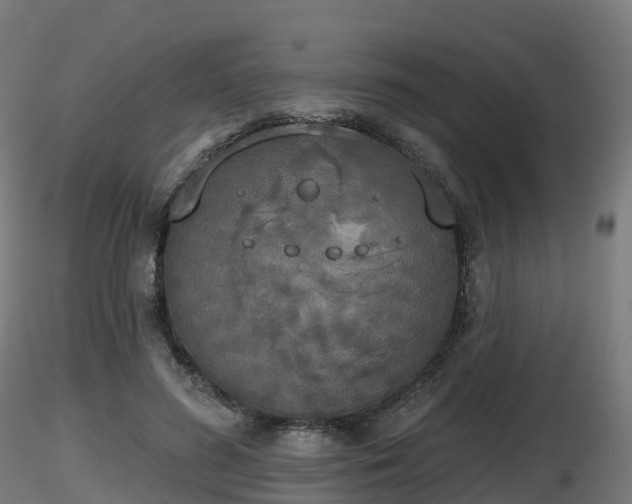 X0000116830596200912241228
