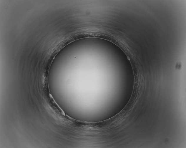 X0000116830597200912241228