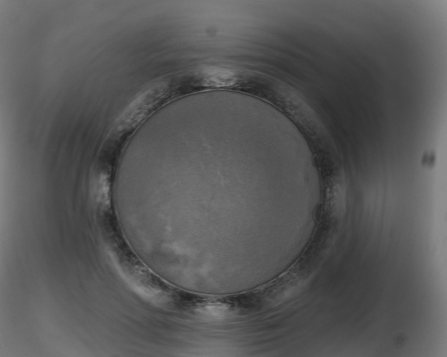 X0000116830598200912241228