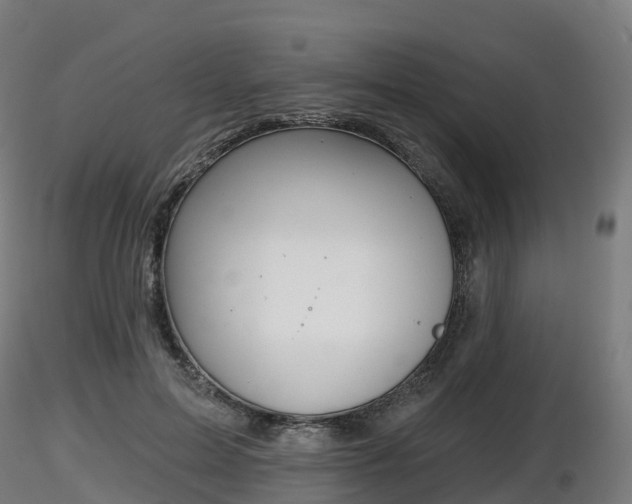 X0000116830599200912241228