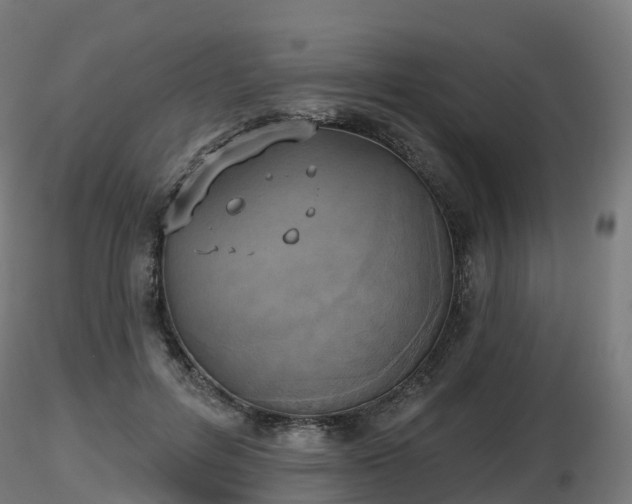 X0000116830600200912241228