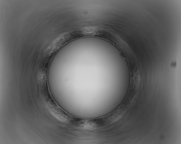 X0000116830601200912241228