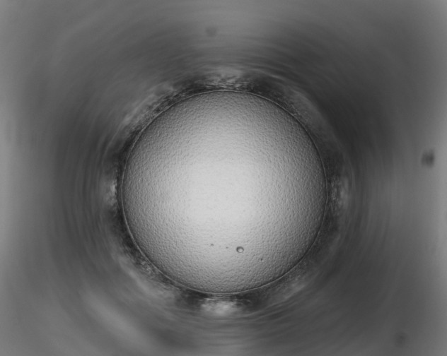 X0000116830602200912241228