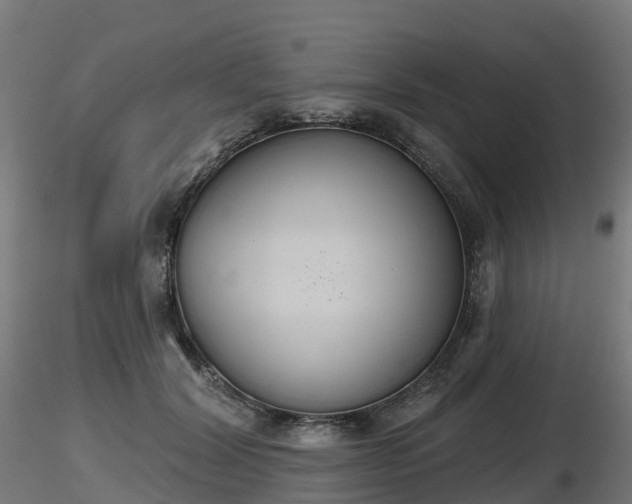 X0000116830604200912241228