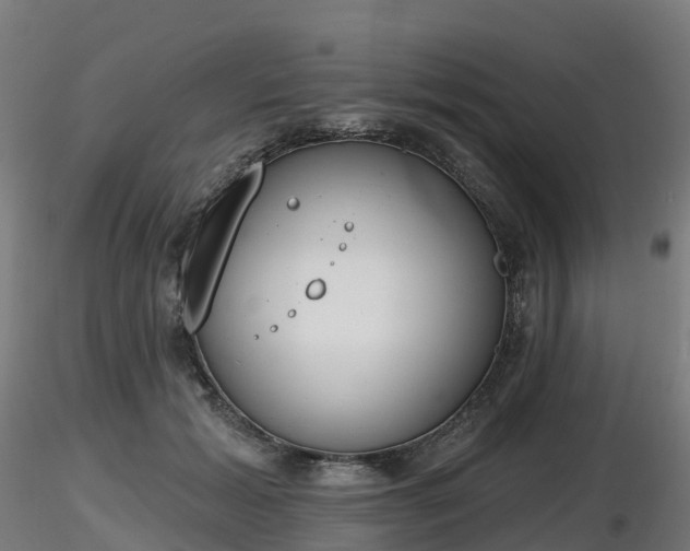 X0000116830605200912241228
