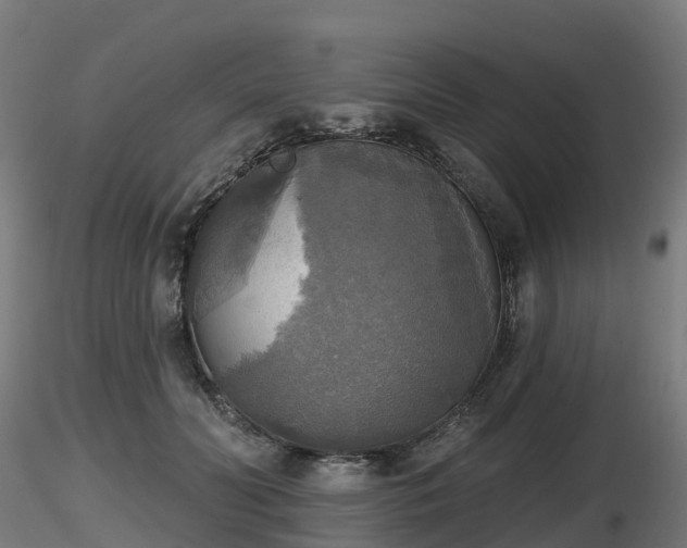 X0000116830606200912241228