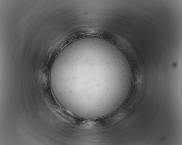 X0000116830607200912241228