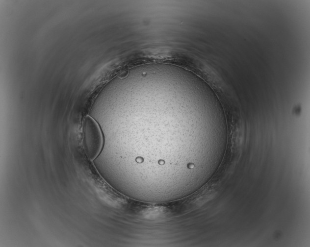 X0000116830609200912241228
