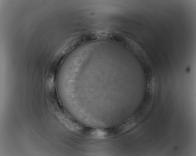 X0000116830610200912241228