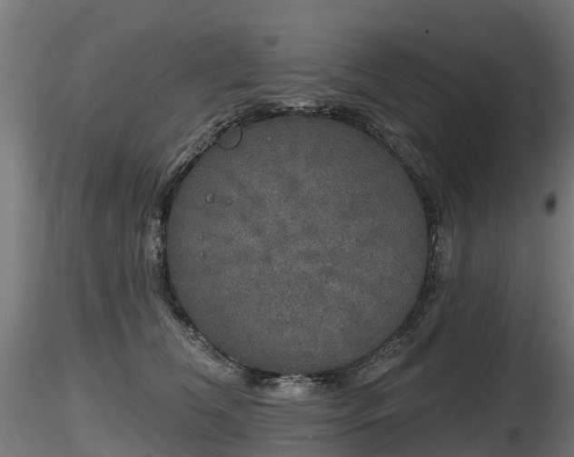 X0000116830612200912241228