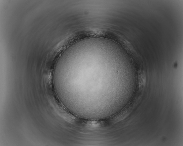 X0000116830613200912241228