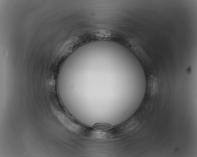 X0000116830614200912241228