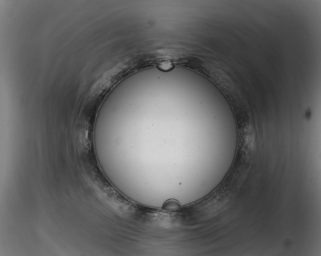 X0000116830615200912241228