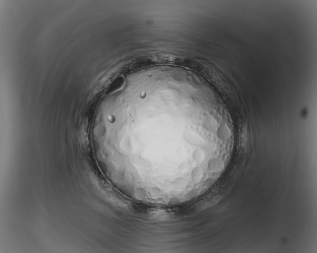 X0000116830616200912241228
