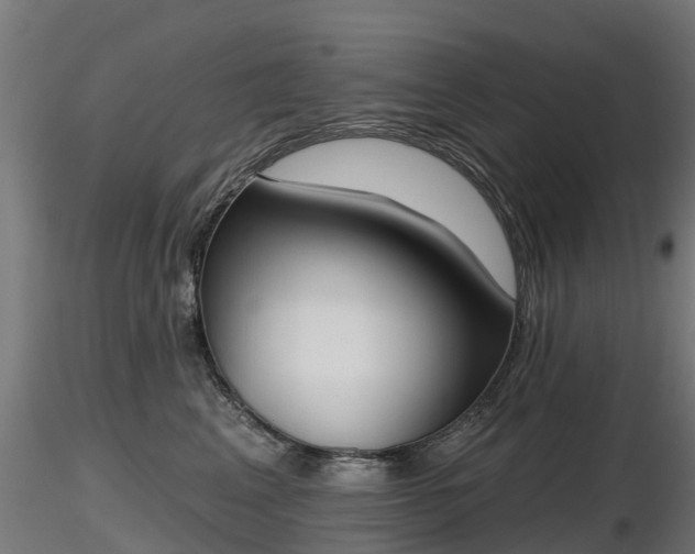 X0000116830617200912241228