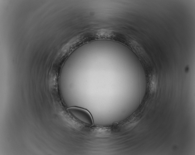 X0000116830619200912241228