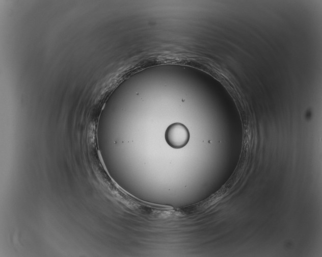 X0000116830621200912241228