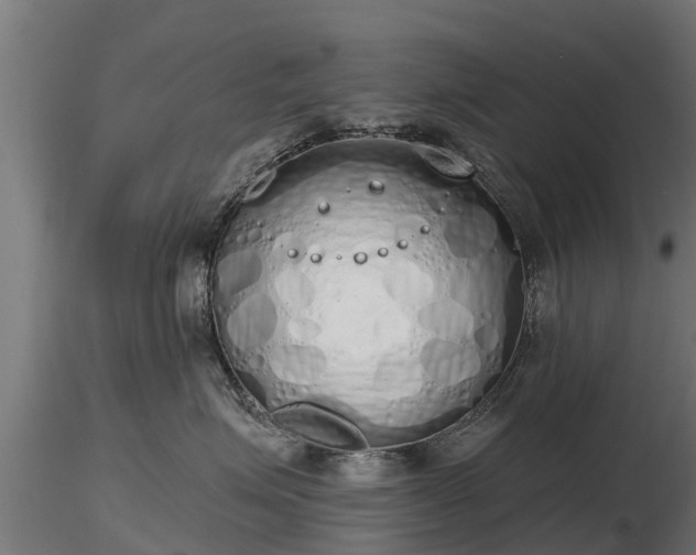 X0000116830623200912241228