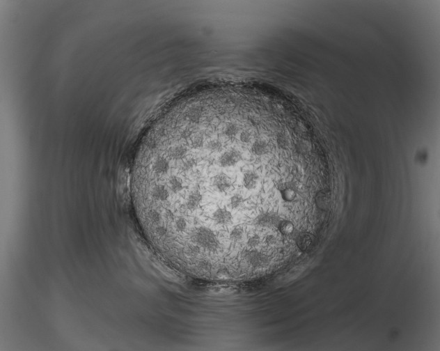 X0000116830624200912241228