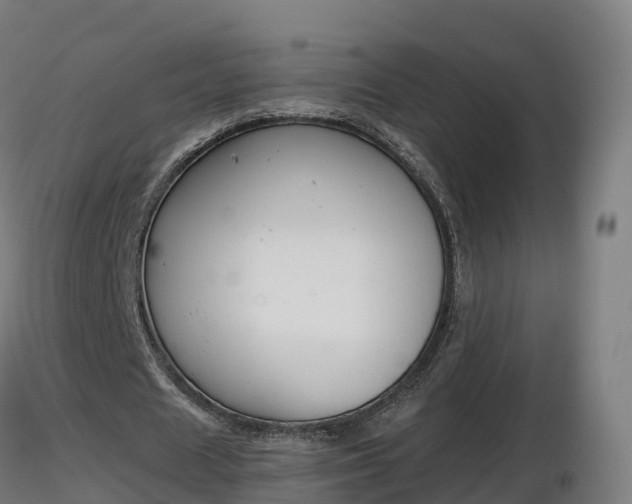 X0000116830625200912241227