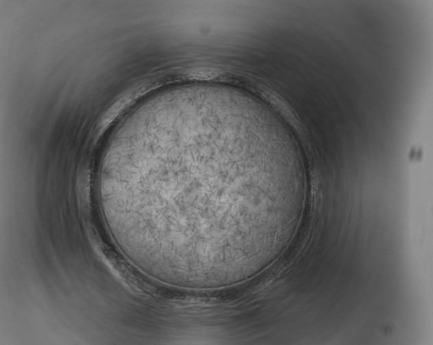 X0000116830626200912241227