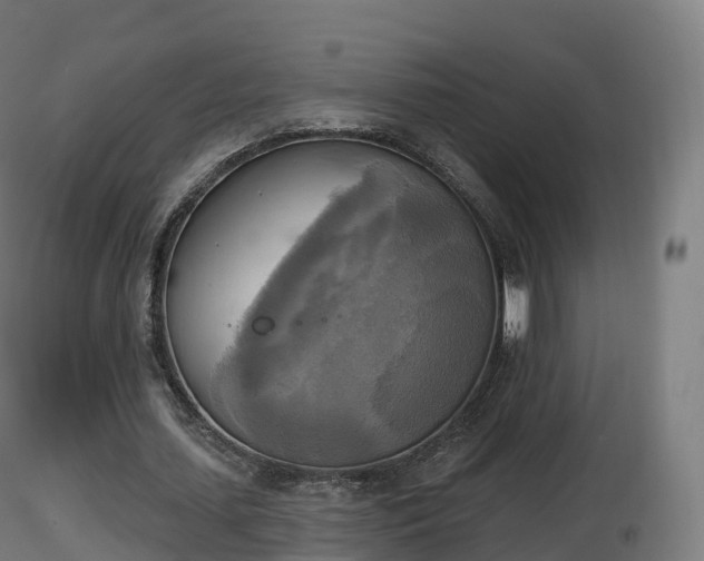 X0000116830627200912241227