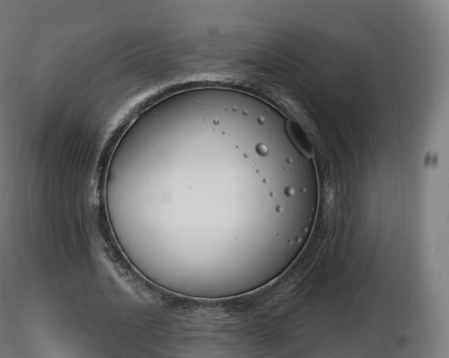X0000116830628200912241227