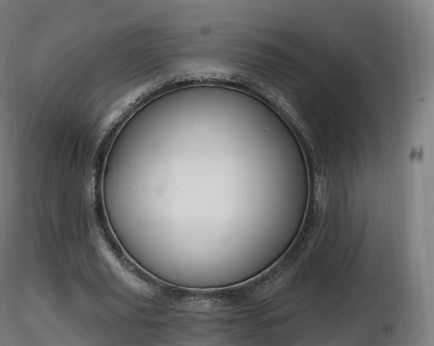 X0000116830629200912241227