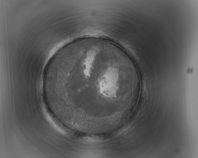 X0000116830630200912241227
