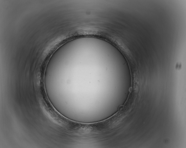 X0000116830631200912241227