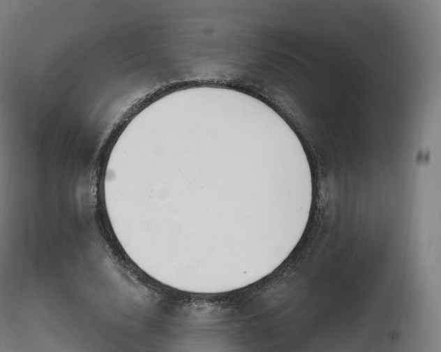 X0000116830632200912241227