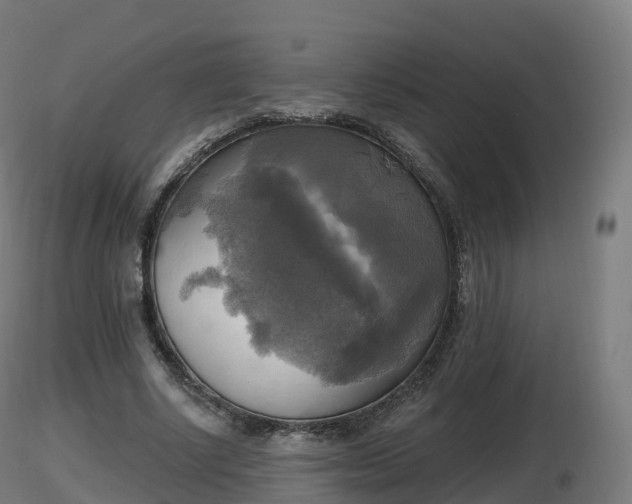 X0000116830634200912241227
