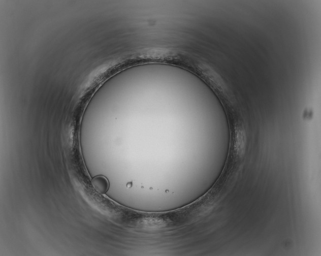 X0000116830636200912241227