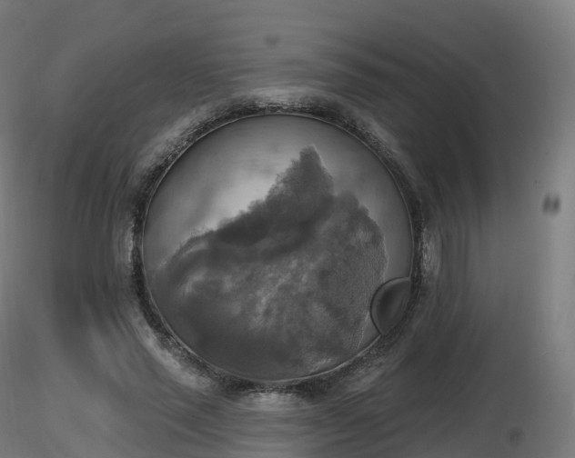 X0000116830637200912241227