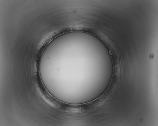 X0000116830638200912241227