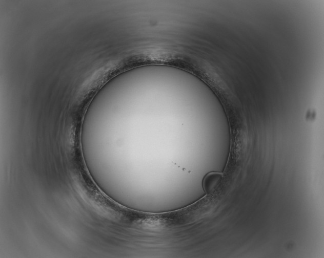 X0000116830639200912241227
