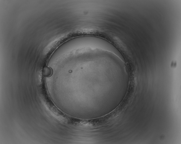 X0000116830640200912241227