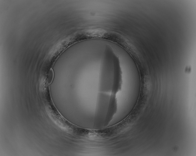 X0000116830641200912241227