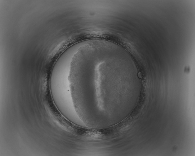 X0000116830642200912241227