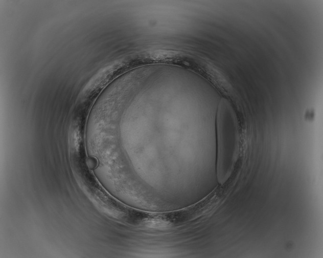 X0000116830644200912241227