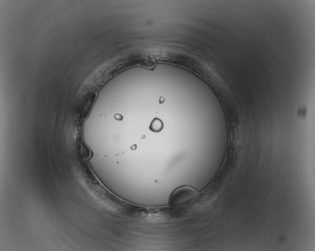X0000116830645200912241227