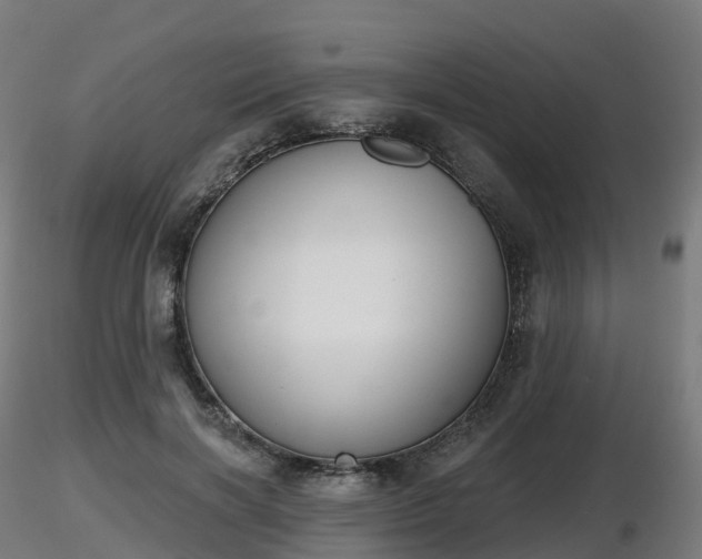 X0000116830646200912241227