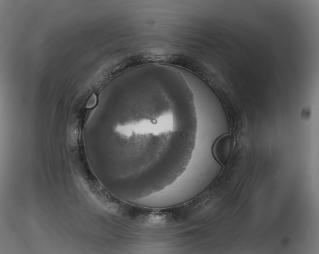 X0000116830647200912241227