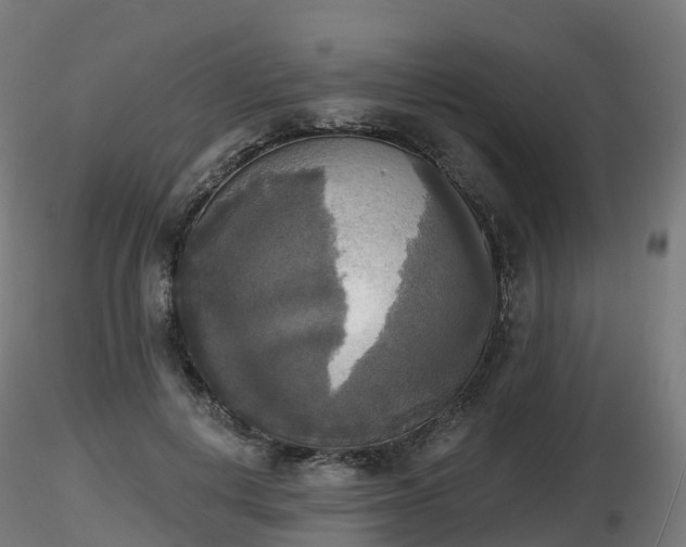 X0000116830648200912241227