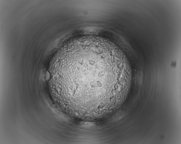 X0000116830649200912241227