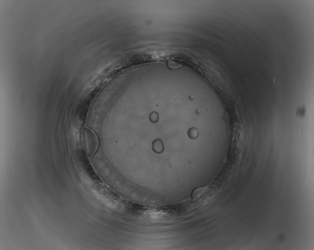 X0000116830650200912241227