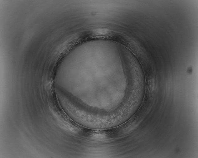X0000116830653200912241227