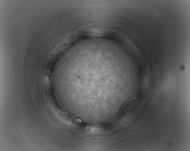 X0000116830655200912241228